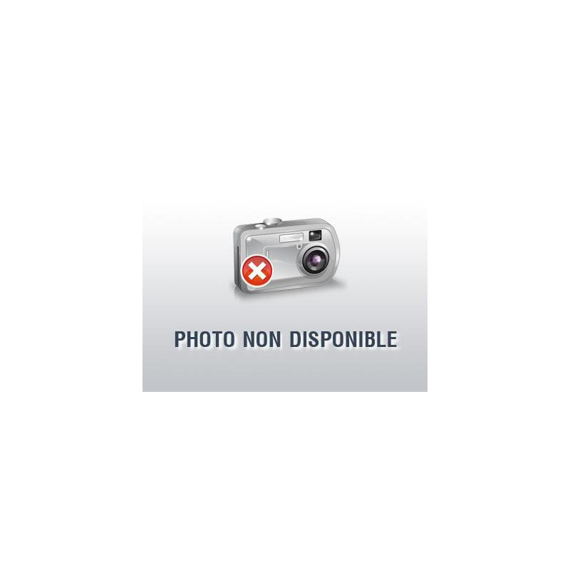 Grille mijotage barbecue Campingaz ONYX 5010006121